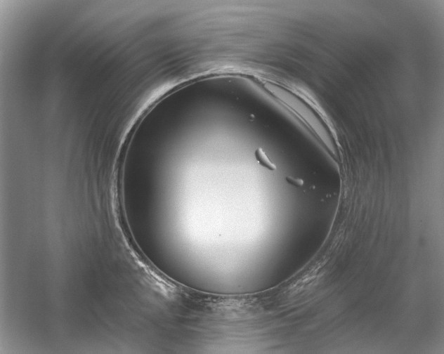 X0000059821048200510211141