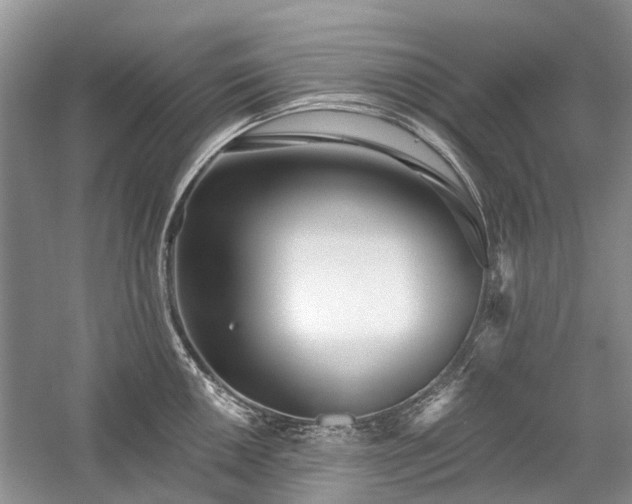 X0000059821050200510211141