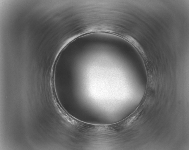 X0000059821052200510211141