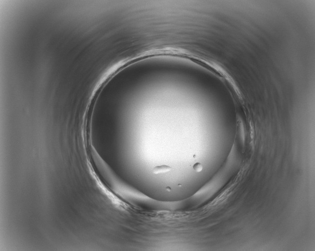 X0000059821054200510211142