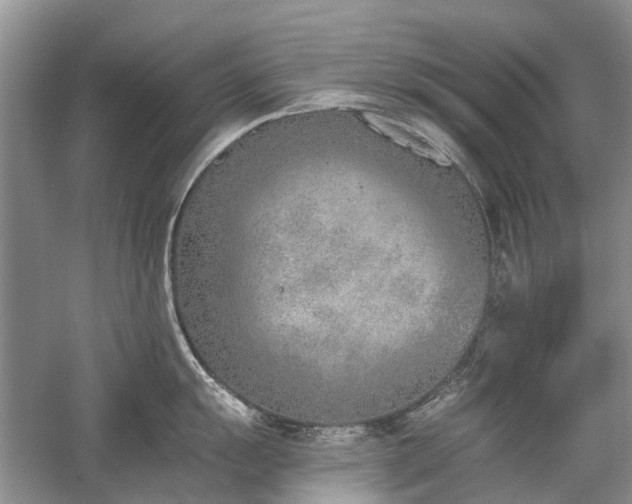 X0000059821055200510211142