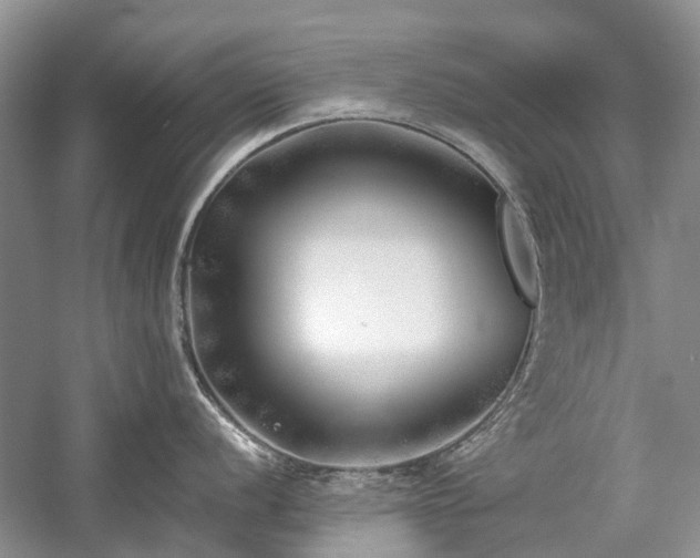 X0000059821056200510211142