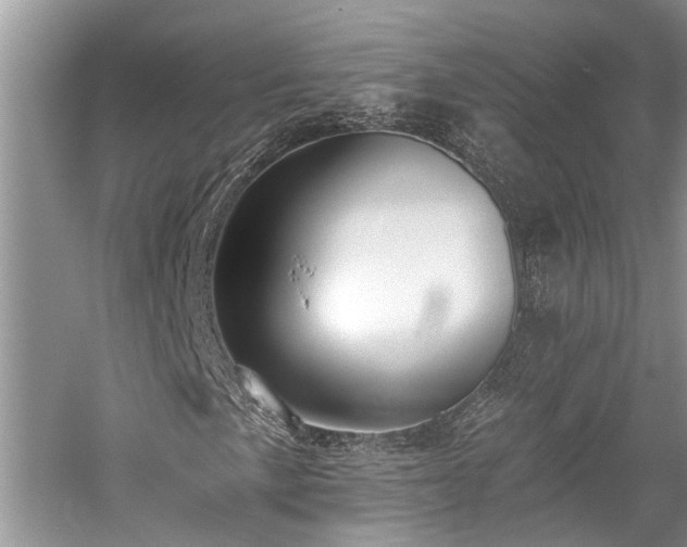 X0000059821057200510211141