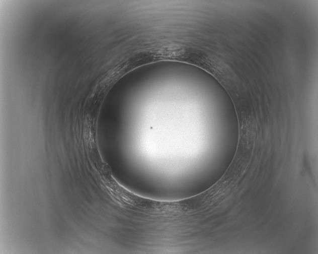 X0000059821058200510211141