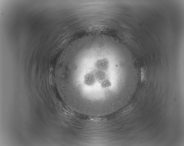 X0000059821059200510211141