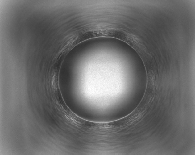 X0000059821060200510211141