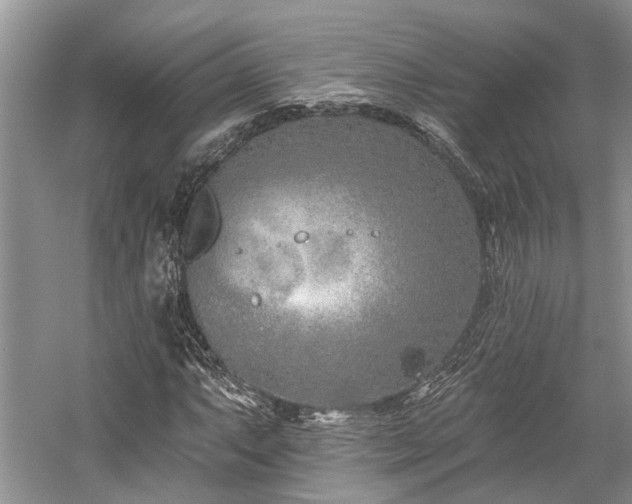 X0000059821063200510211141