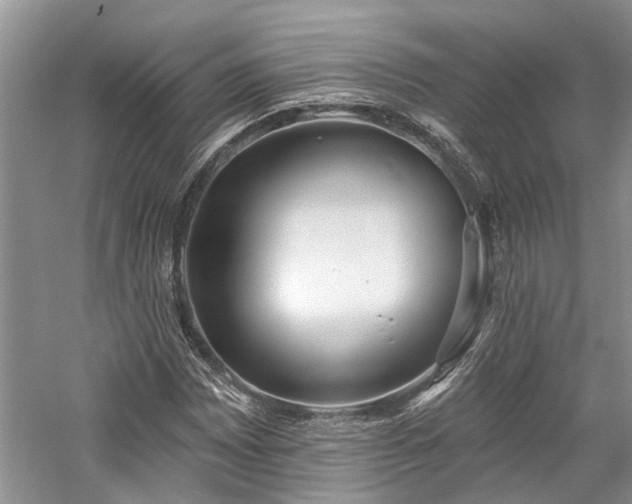 X0000059821065200510211141