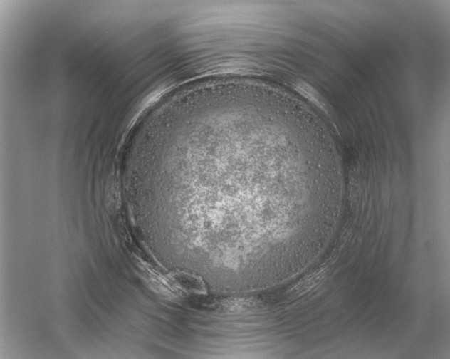 X0000059821067200510211141