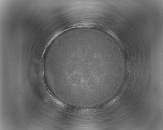 X0000059821075200510211140