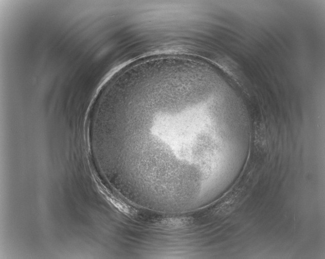 X0000059821078200510211140