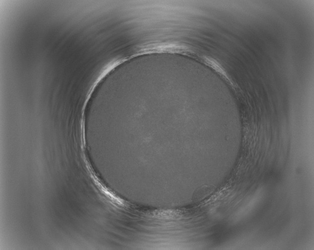 X0000059821079200510211140