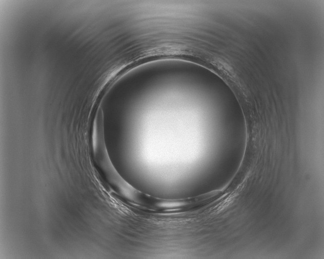 X0000059821081200510211140