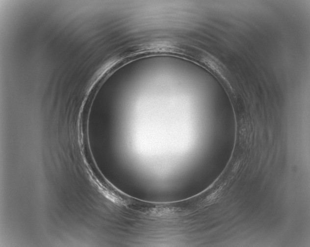 X0000059821082200510211140