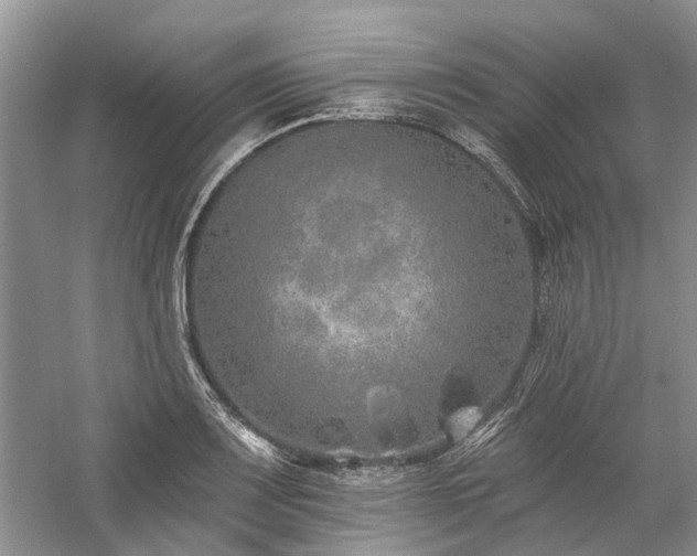 X0000059821083200510211140