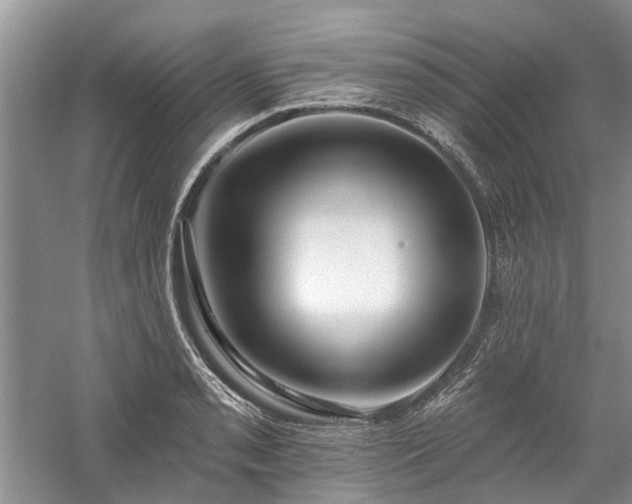 X0000059821085200510211140