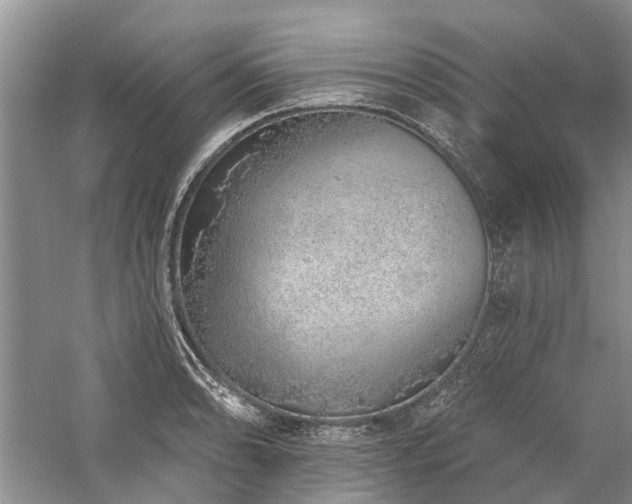 X0000059821086200510211140