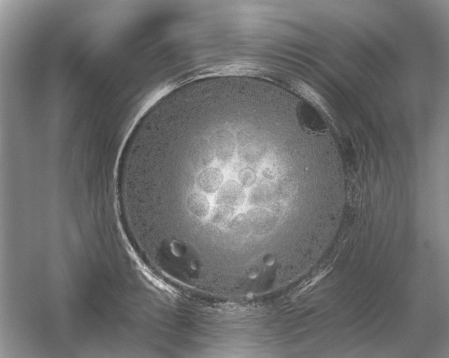 X0000059821087200510211140