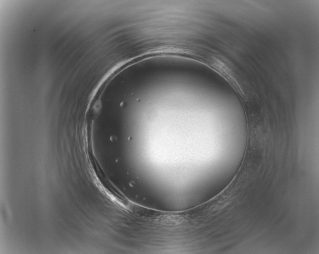 X0000059821092200510211140