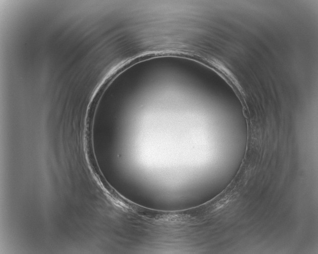 X0000059821093200510211140