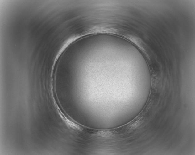 X0000059821094200510211140