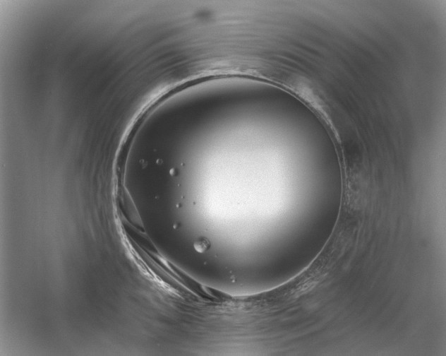 X0000059821096200510211140