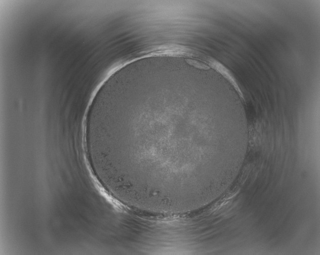 X0000059821099200510211140