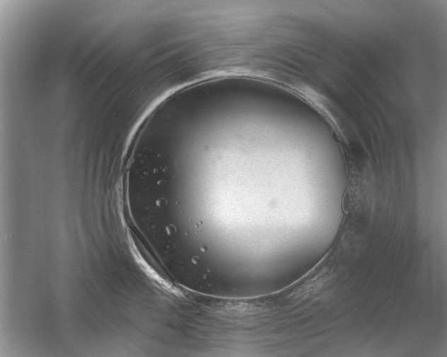 X0000059821100200510211140