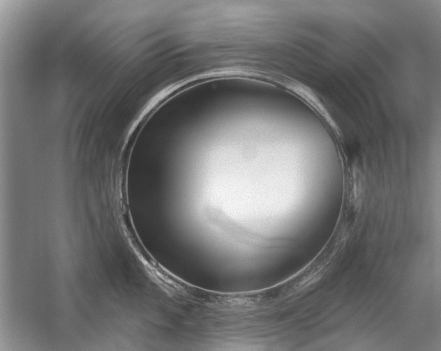 X0000059821101200510211140