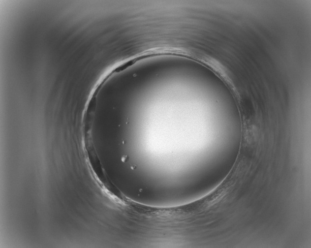 X0000059821102200510211140