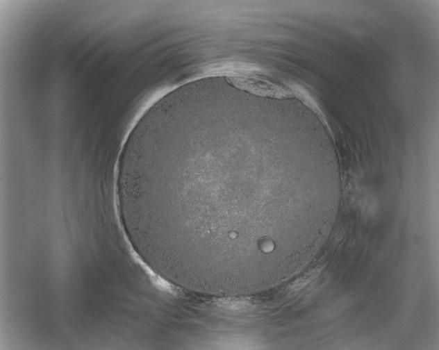 X0000059821103200510211140