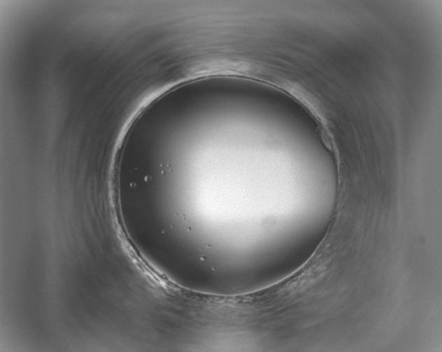 X0000059821104200510211140