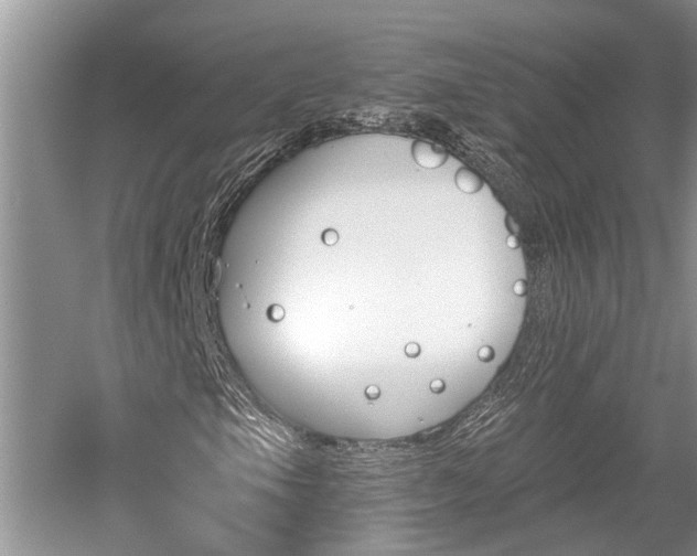 X0000059821105200510211139