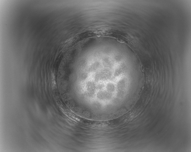 X0000059821106200510211139