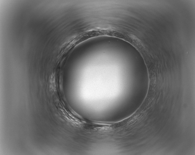 X0000059821110200510211139