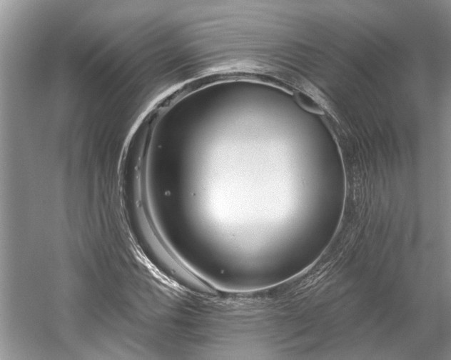 X0000059821116200510211139