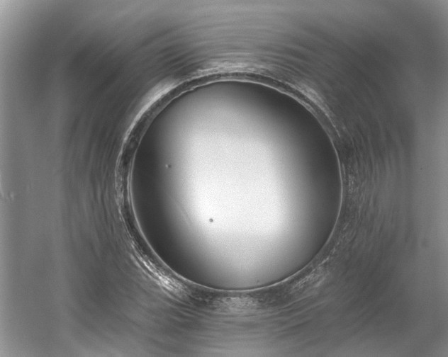 X0000059821119200510211139