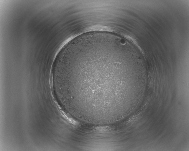 X0000059821125200510211139