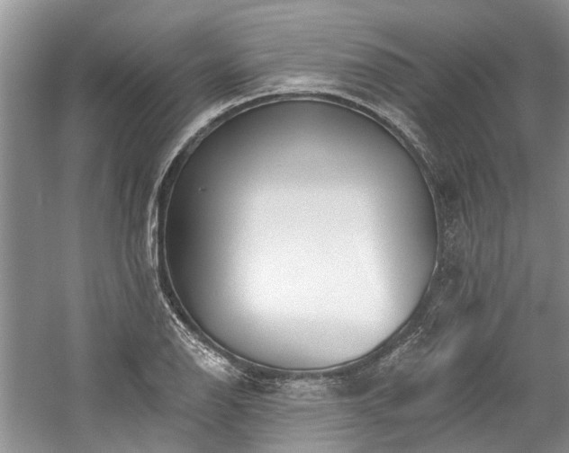 X0000059821126200510211139