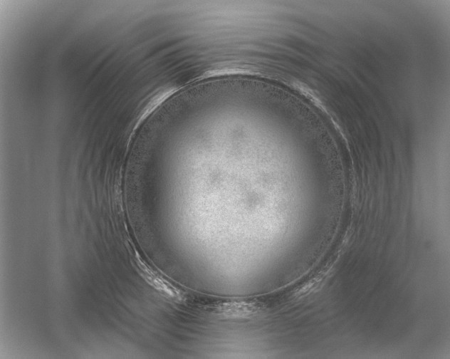 X0000059821137200510211140