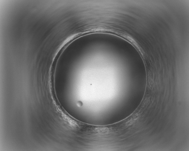 X0000059821142200510211140