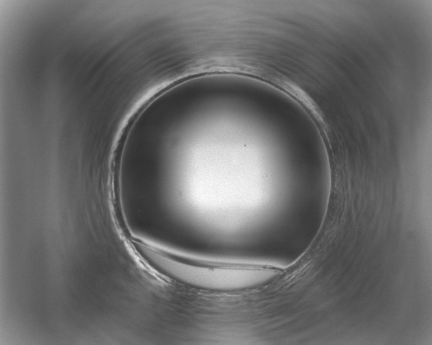 X0000059821144200510211140