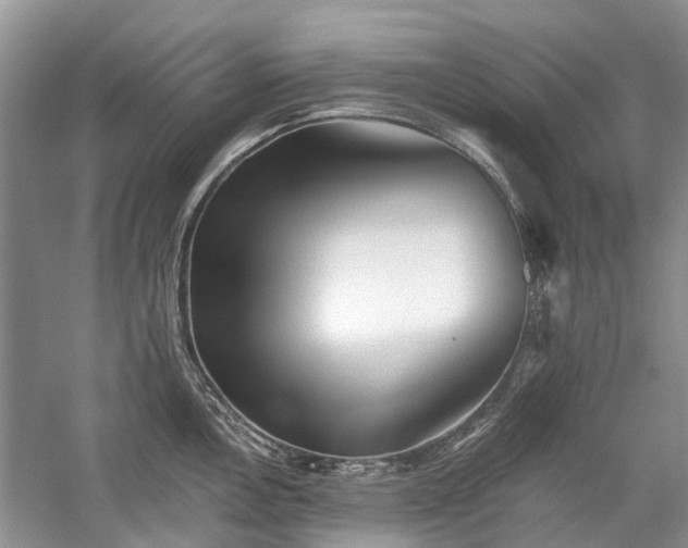 X0000059821146200510211140