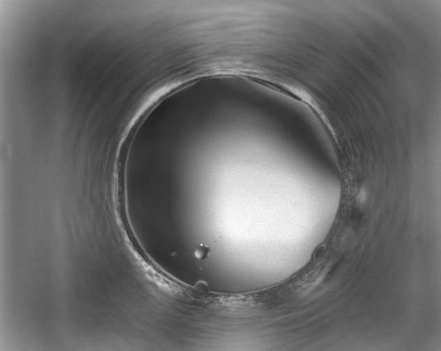 X0000059821147200510211140