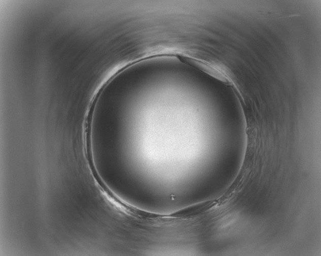 X0000059821151200510211140