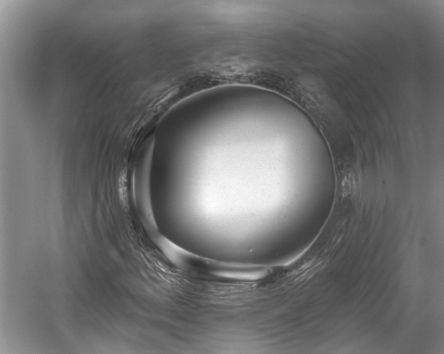 X0000059821156200510211139