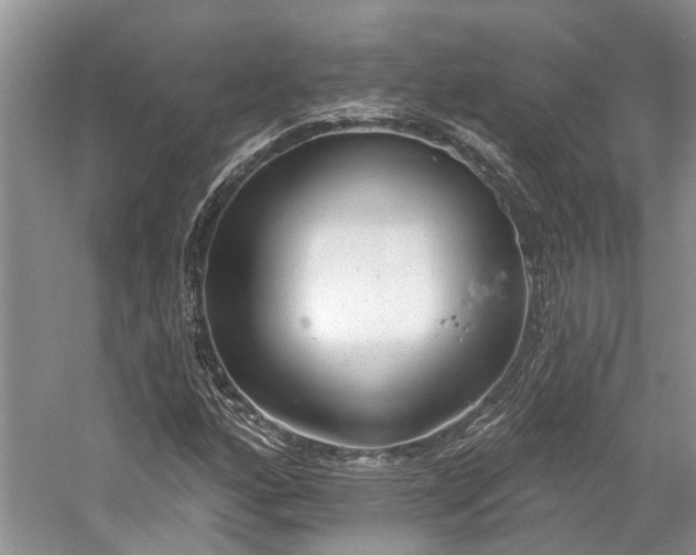 X0000059821160200510211139