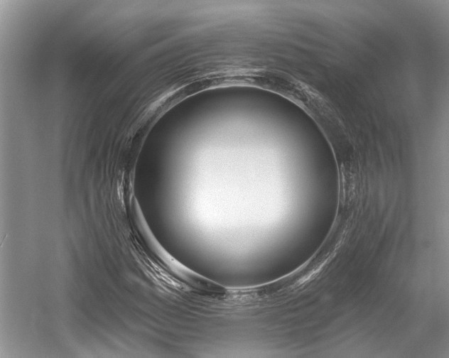 X0000059821161200510211139