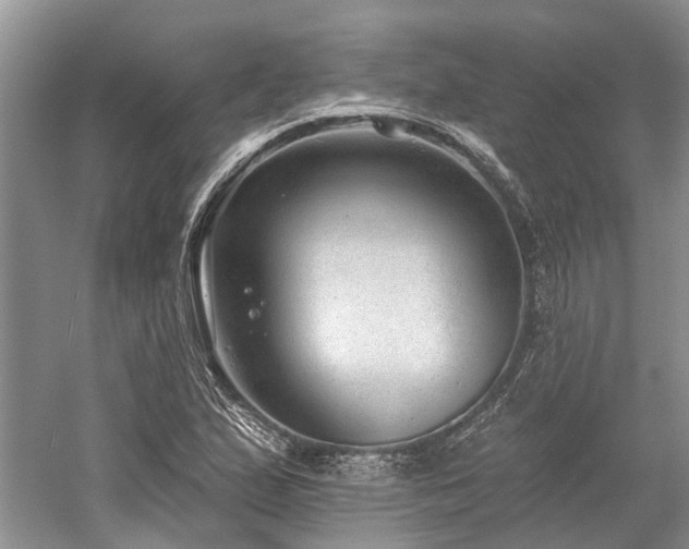 X0000059821167200510211139