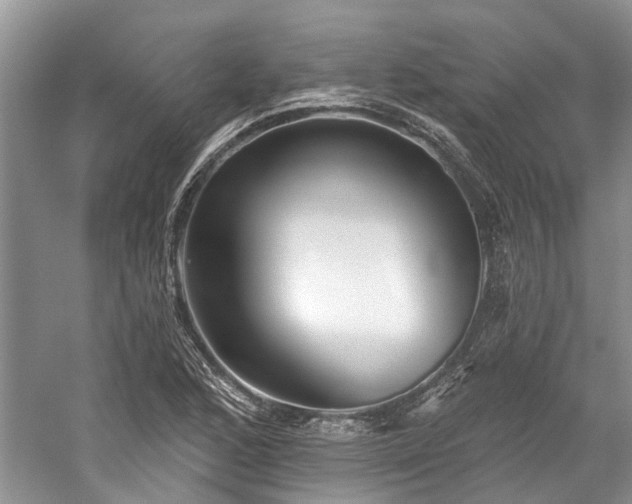 X0000059821168200510211139